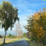 Mach einfach das, was Dich glücklich macht 