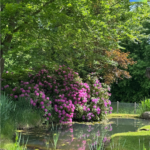 Gottes Garten ist groß 