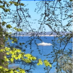 Ein Schiff wird kommen 