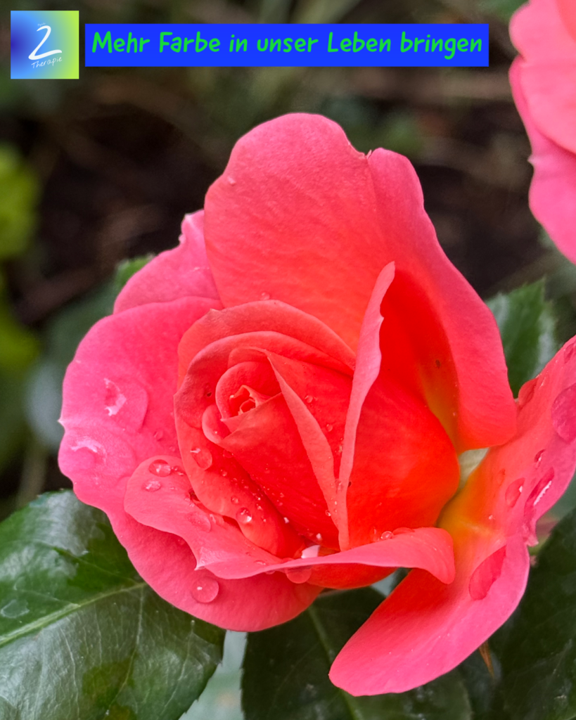 Mehr Farbe in unser Leben bringen 