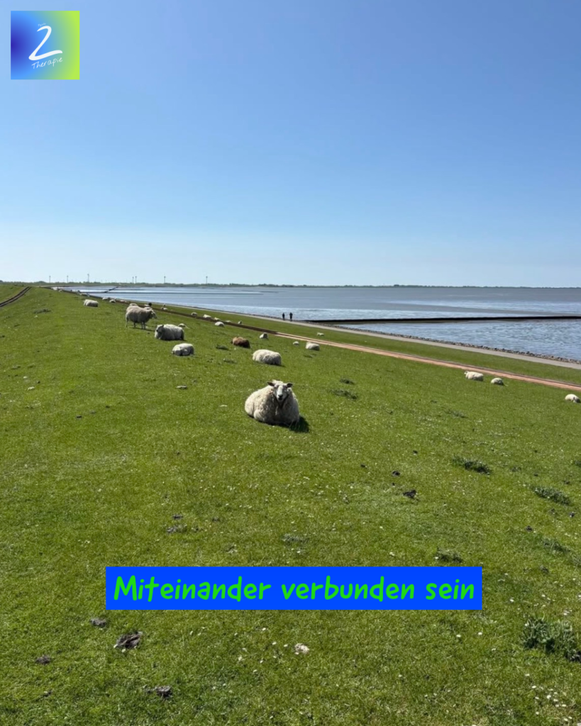 Miteinander verbunden sein