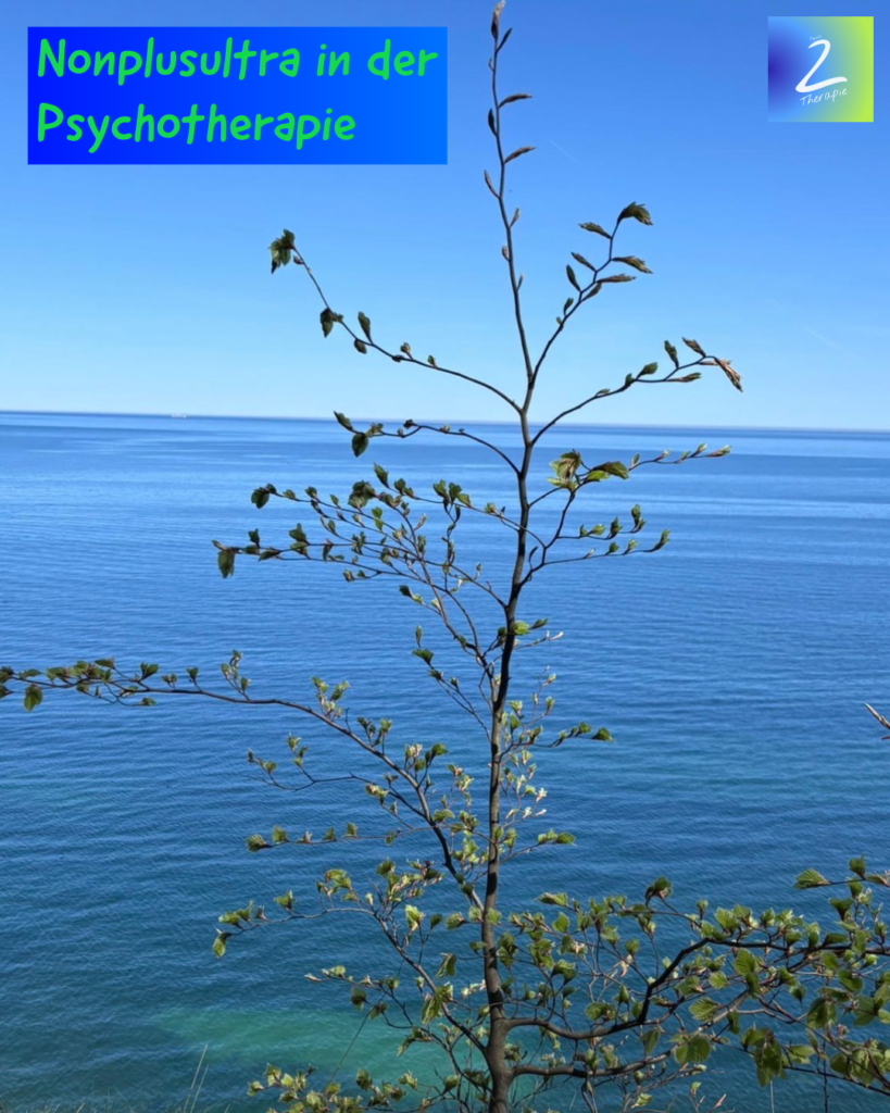 Nonplusultra in der Psychotherapie 