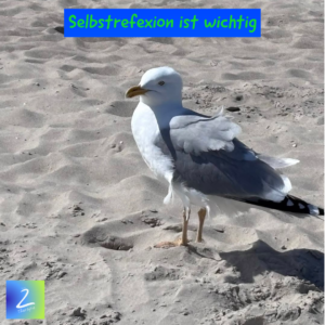 Selbstrefexion ist wichtig 