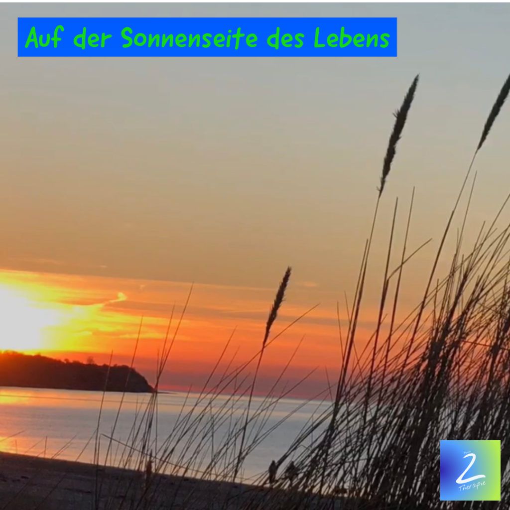 Auf der Sonnenseite des Lebens 