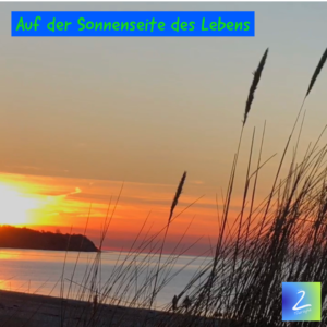 Auf der Sonnenseite des Lebens 