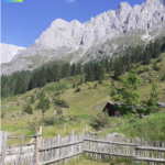 Heimat ist wichtig 