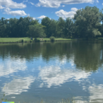 Natur pur