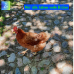 Wir alle haben viele Rollen 