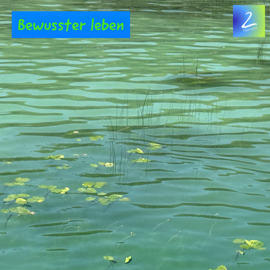 Bewusster leben 