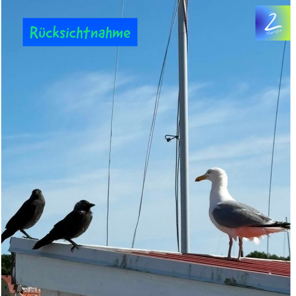 Rücksichtnahme 