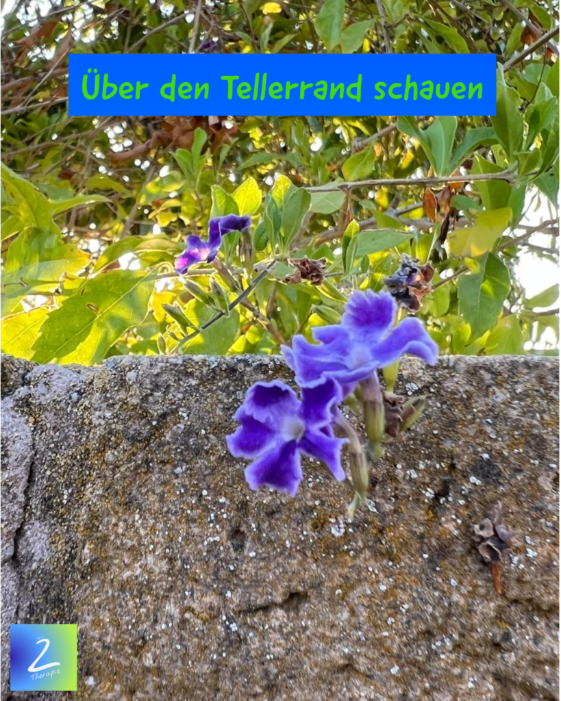 Über den Tellerrand schauen 