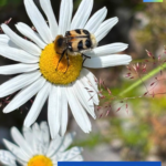 Wertschätzung der eigenen Leistung