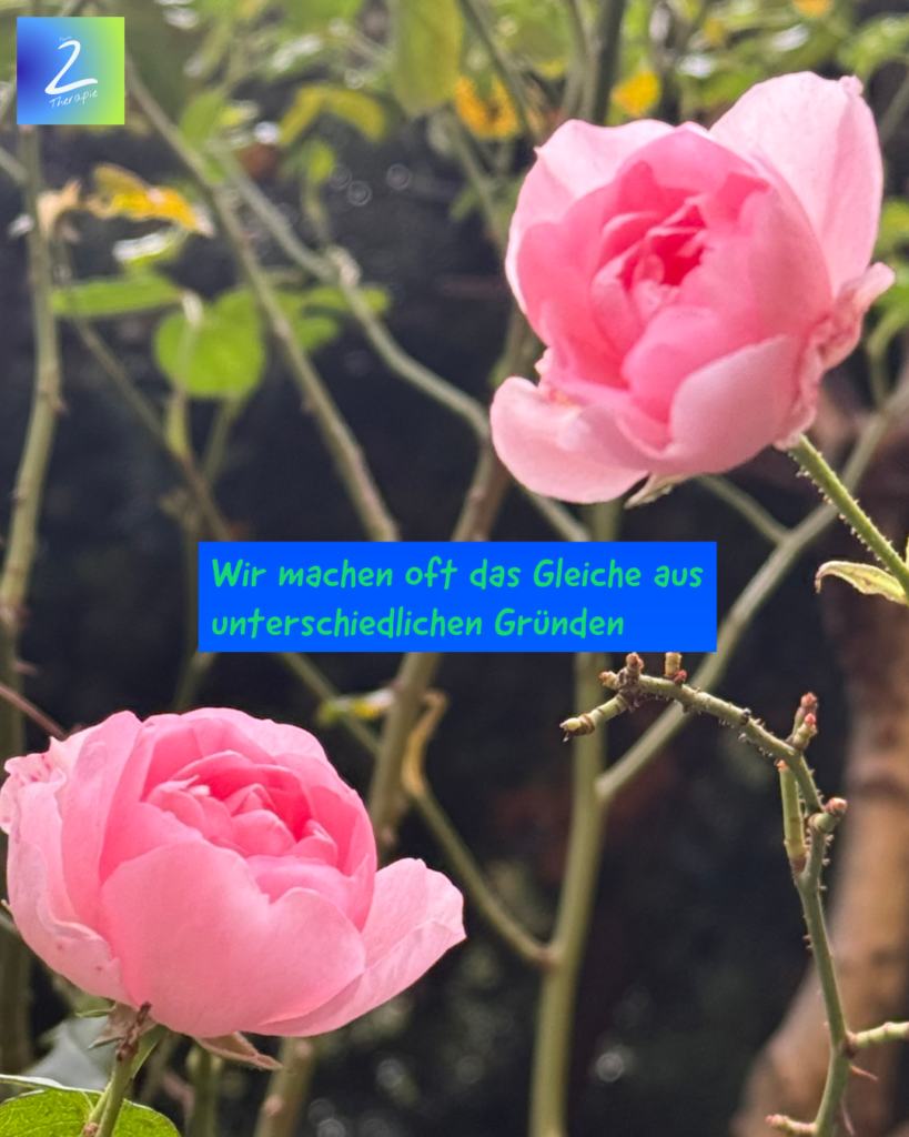 Wir machen oft das Gleiche aus unterschiedlichen Gründen 