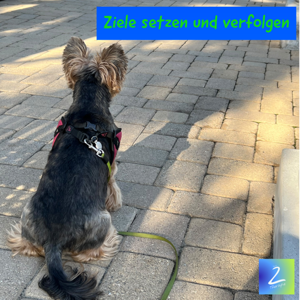 Ziele setzen und verfolgen 