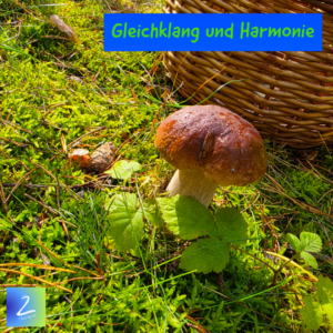 Gleichklang und Harmonie