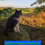Selbstbestimmung  macht frei 
