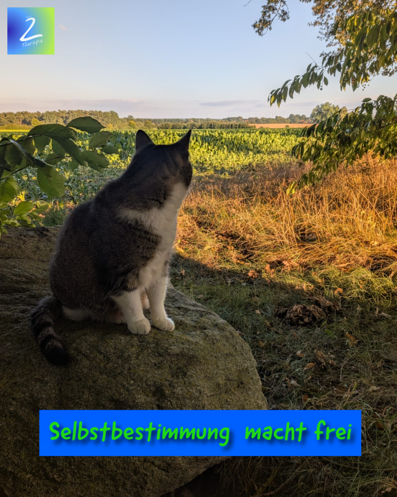 Selbstbestimmung  macht frei 