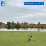 Wie Du mir, so ich Dir 