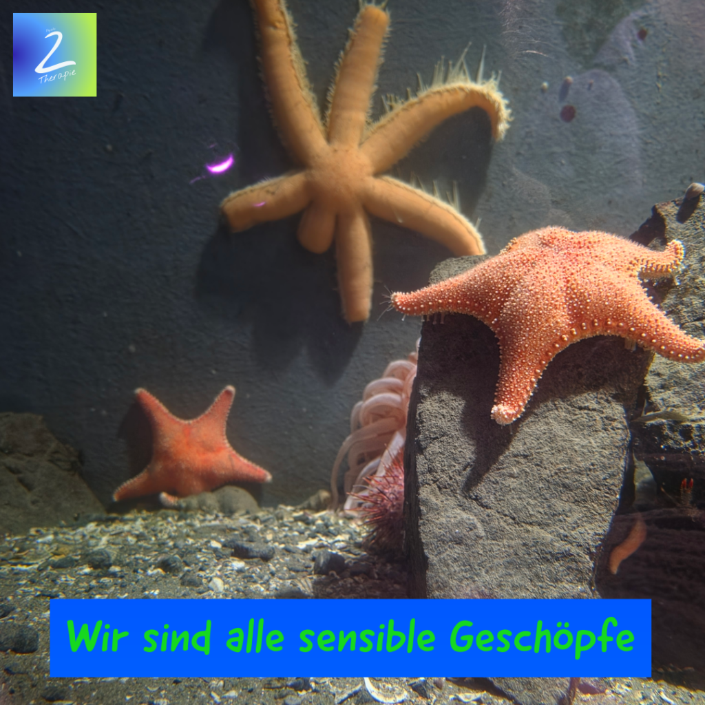 Wir sind alle sensible Geschöpfe