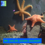 Wir sind alle sensible Geschöpfe